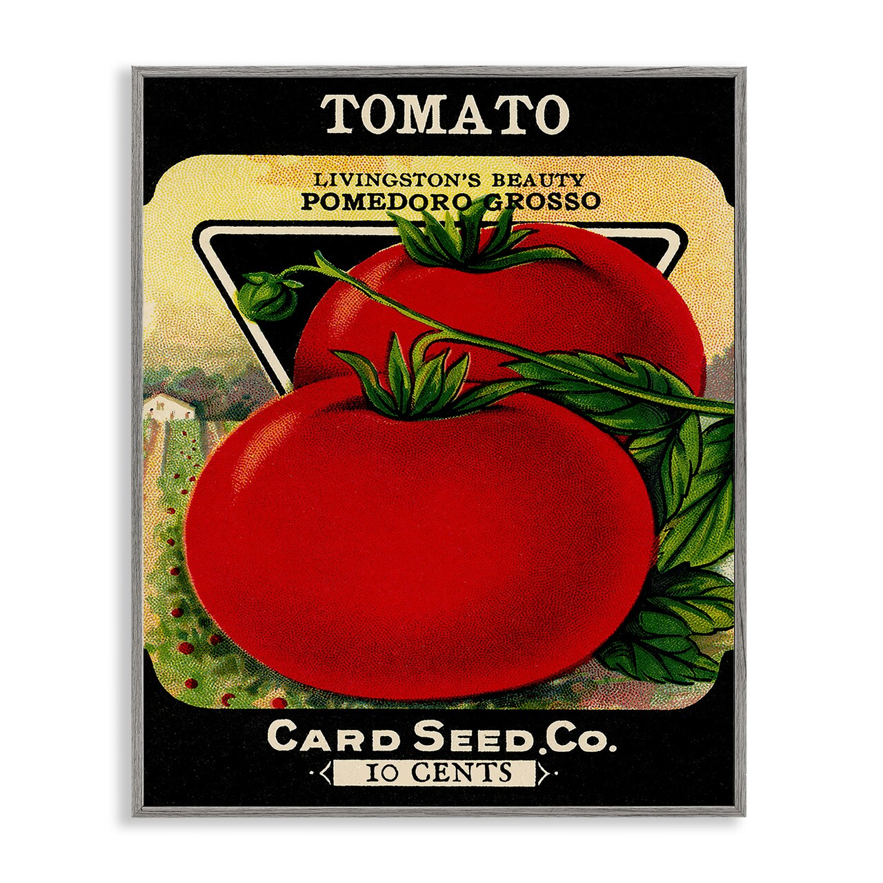 Stupell Industries Vintage Garden Tomato Framed Giclee Design by Lil' Rue